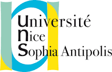 License Informatique (Niveau)
